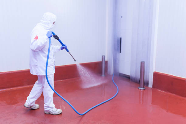Best House Exterior Washing  in Lynnwood, WA