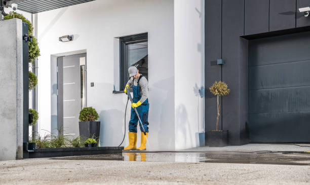 Best Solar Panel Cleaning  in Lynnwood, WA